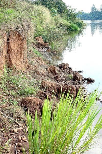 Área de mata ciliar às margens do Rio Taquari ganha ações de proteção ambiental