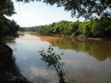 Bacia do rio Gravataí