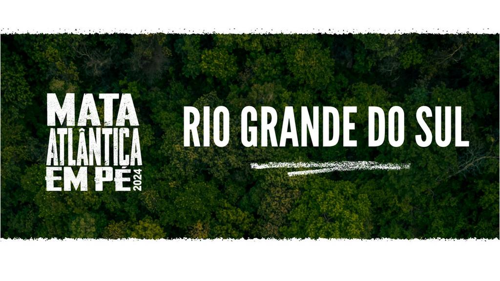 Operação Mata Atlântica em Pé combate o desmatamento, uma das principais causas das mudanças climáticas, em 17 estados