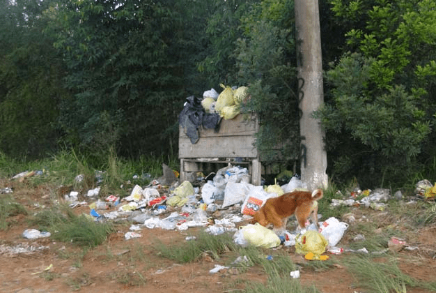 Lixo em Montenegro